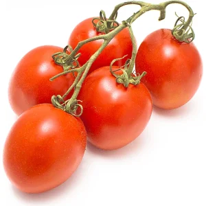 TOMATOES ON THE VINE