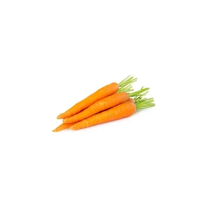 CARROTS JUMBO