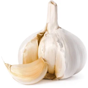 GARLIC