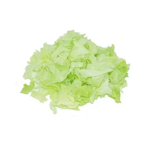 HOLLANDSE IJSBERGSLA