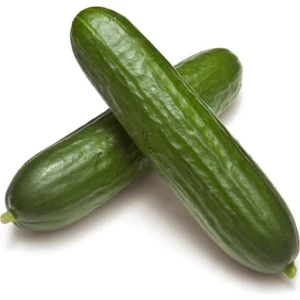 MINI CUCUMBER