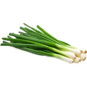 GREEN ONION / BOSUI