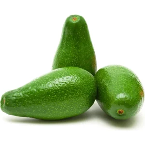 AVOCADO VENEZUELA