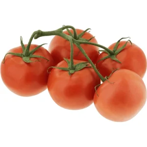 DUTCH PLUM TOMATOES
