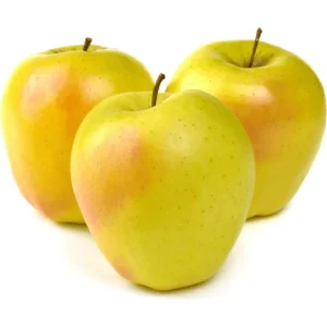GOLDEN DELICIOUS APPLE
