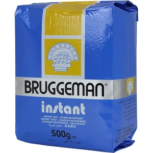 BRUGGEMAN INSTANT GIST