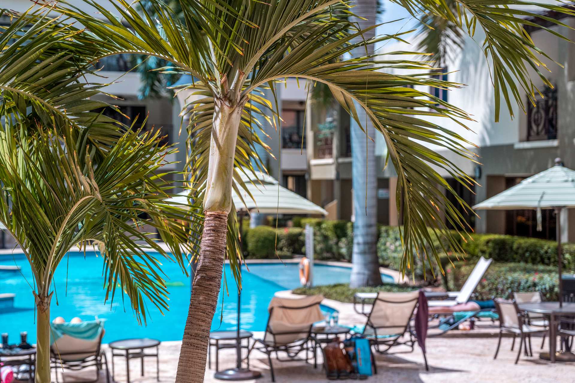 Diamond Palm Two-bedroom condo