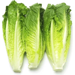ROMAINE HEARTS