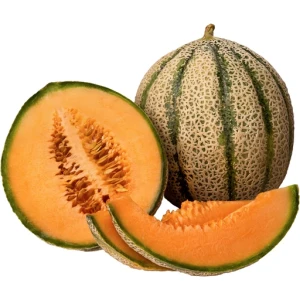 CANTALOUPE MELON