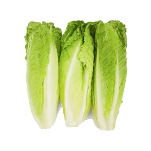 ROMAINE HEARTS